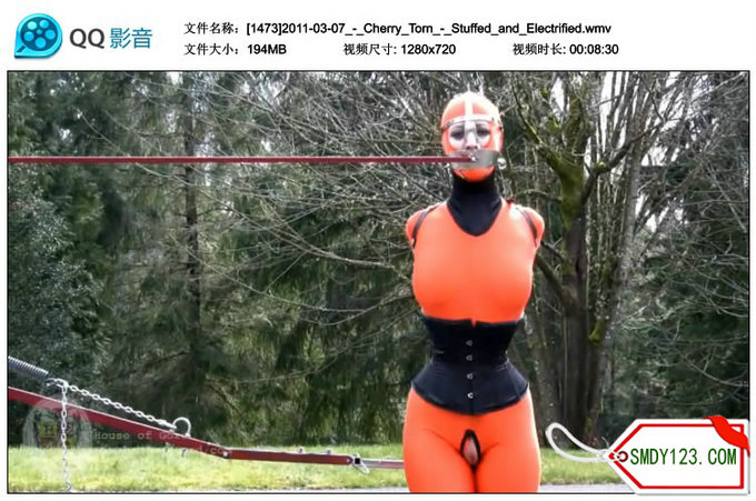 [1473]2011-03-07_-_Cherry_Torn_-_Stuffed_and_Electrified.wmv_thumbs_2015.06.18.1.jpg